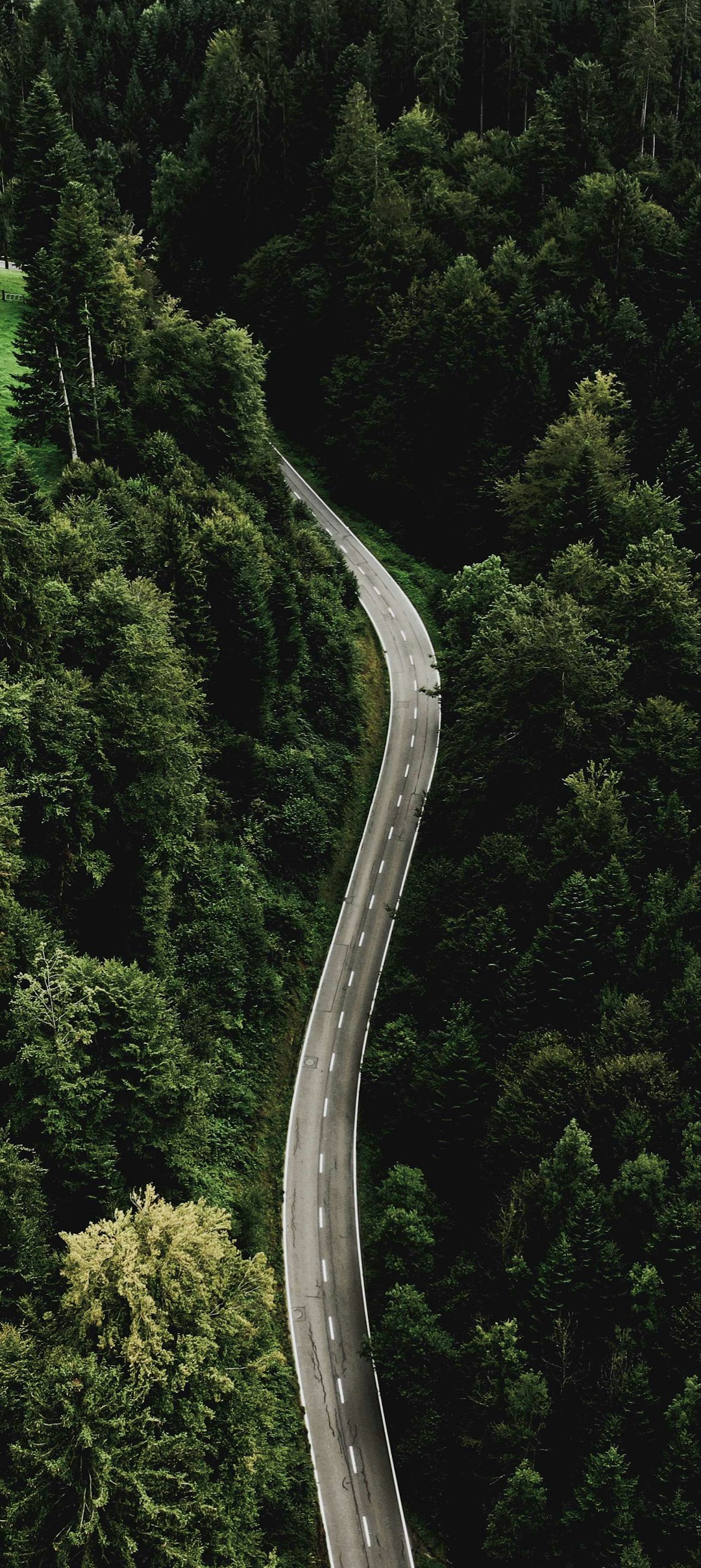 Green Road